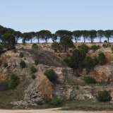 Alla fine ci ritroviamo in un grande spiazzo, situato ai piedi di un anfiteatro di roccia scoscesa ricoperta di fiorellini ed erba selvatica